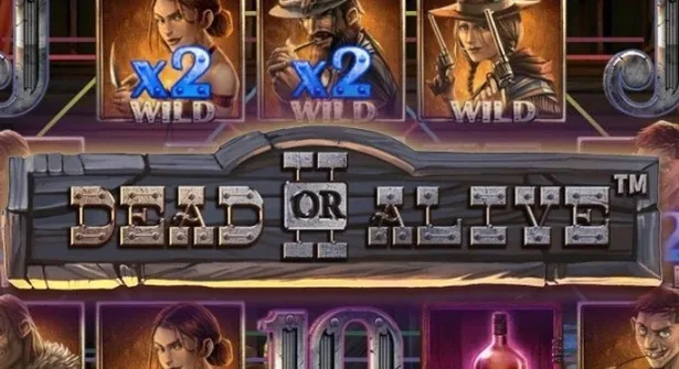 Dead or Alive 2